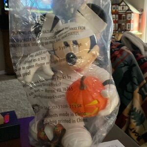 - Mickey Mouse popcorn bucket